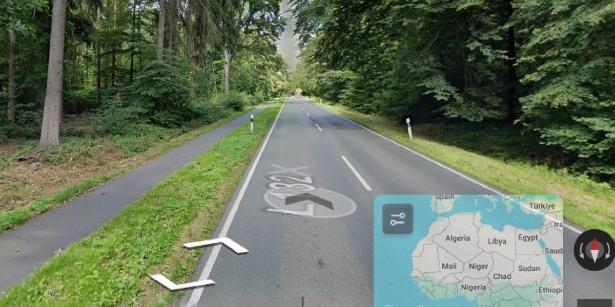 Exploring the World Through GeoGuessr