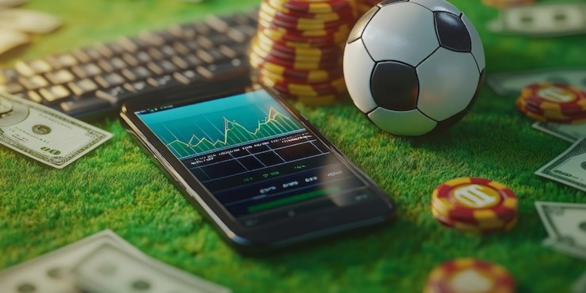 NCAA Basketball Betting Software: Enhance Your College Hoops Betting Experience