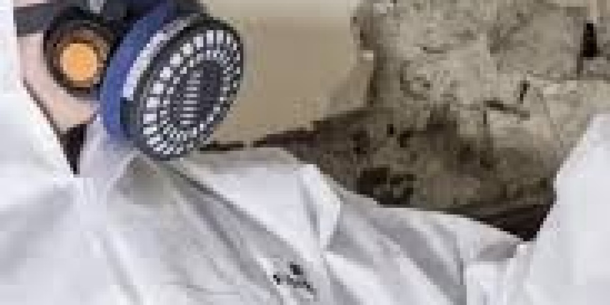 Asbestos & Mould Testing Can Save Lives
