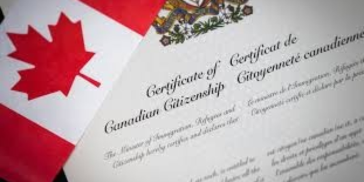 Expert Help for Canadian Citizenship Applications in Mississauga