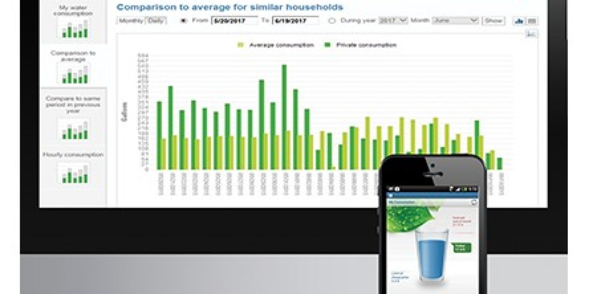 The Role of Leak Detection in Reducing Water Loss