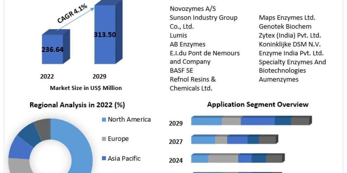 Textile Enzymes Market Size, Demand Outlook, and Strategic Insights (2023-2029)