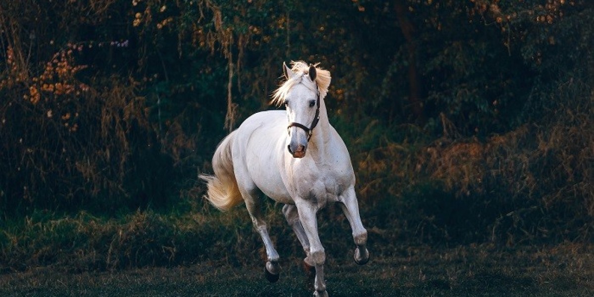 What is the Connection Between Horse Symbolism and Vitality?