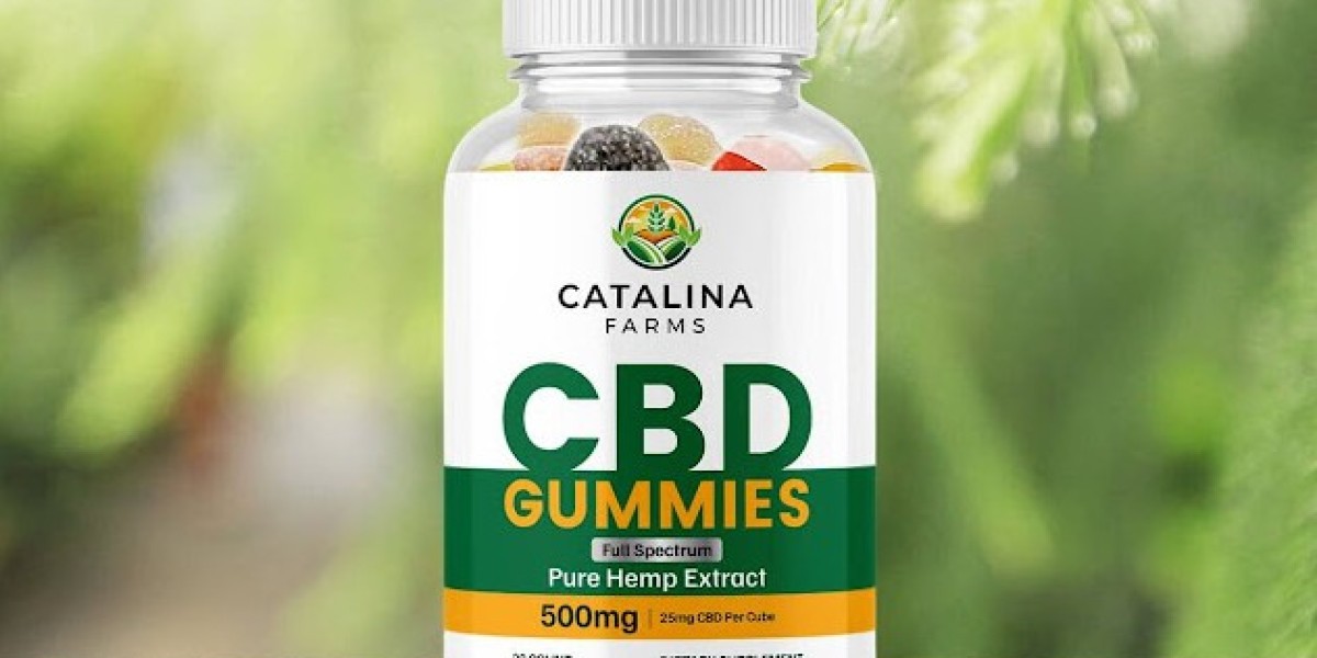 Find Your Focus: How Catalina Farms CBD Gummies Can Help