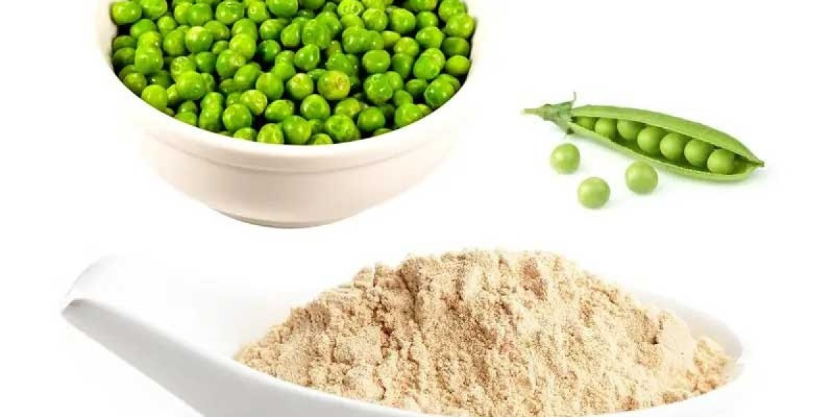 Rising Demand for Plant-Based Foods Boosts Global Pea Protein Isolate Market Growth