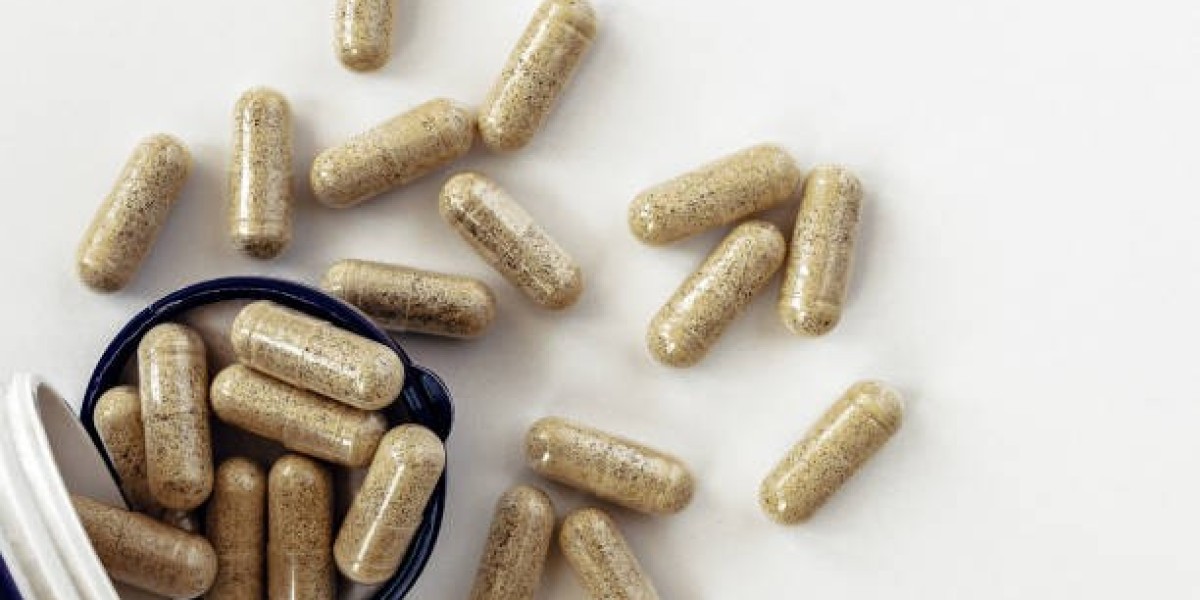 The Future of the Digestive Enzyme Supplements Market: How Wellness Trends Are Shaping Demand