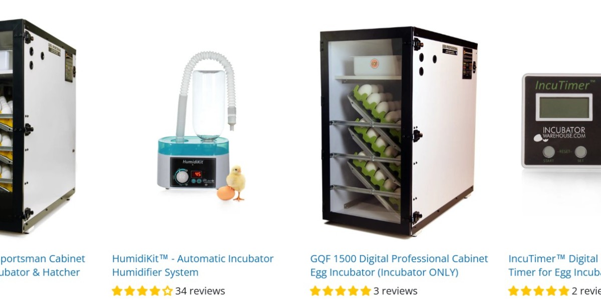 Best Guide to Choosing a Quail Egg Incubator for Easy Hatching
