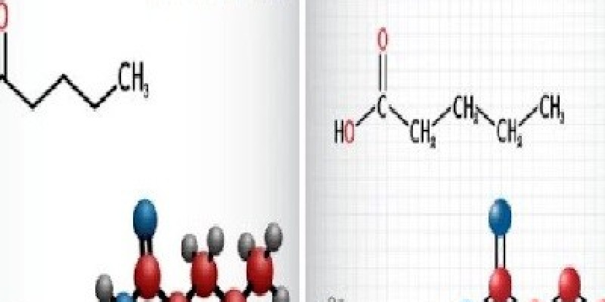 Valeric Acid Market Size 2034 (New Research) Report Reveals the Latest Trends and Growth Opportunities