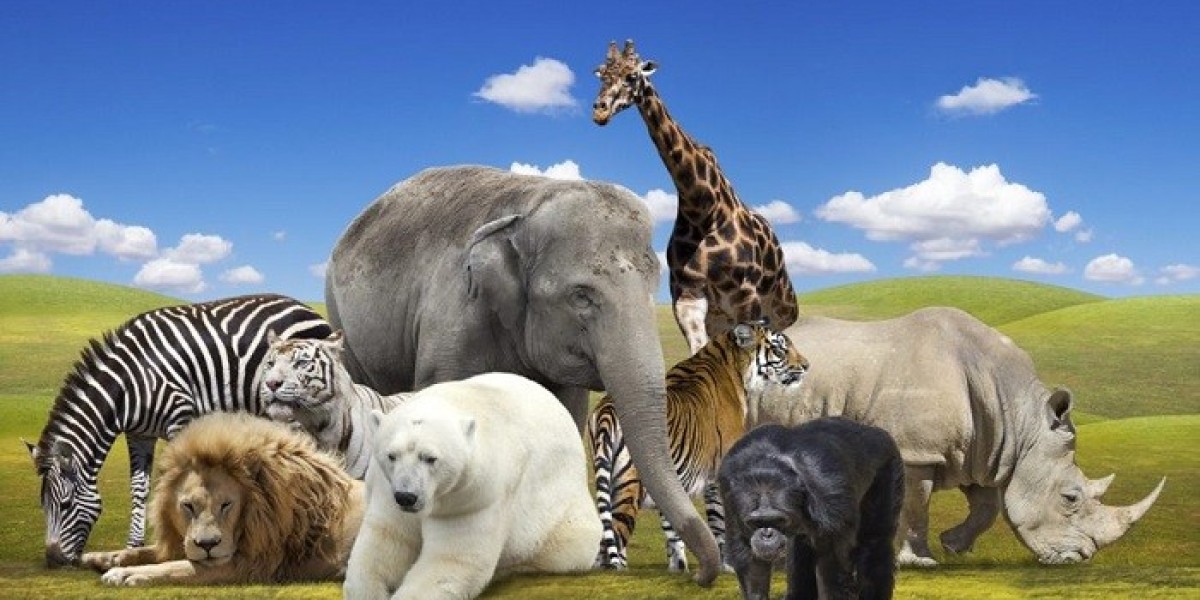 100 Animal Quotes: Wisdom From the Creatures of the Wild