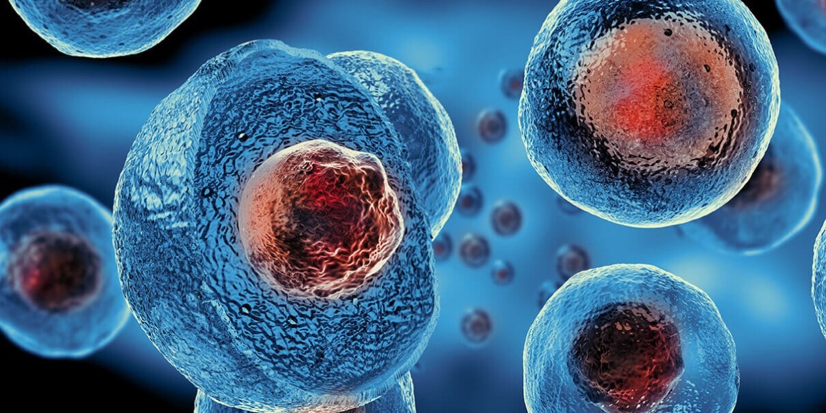 Stem Cell Therapy: A Beginner’s Guide