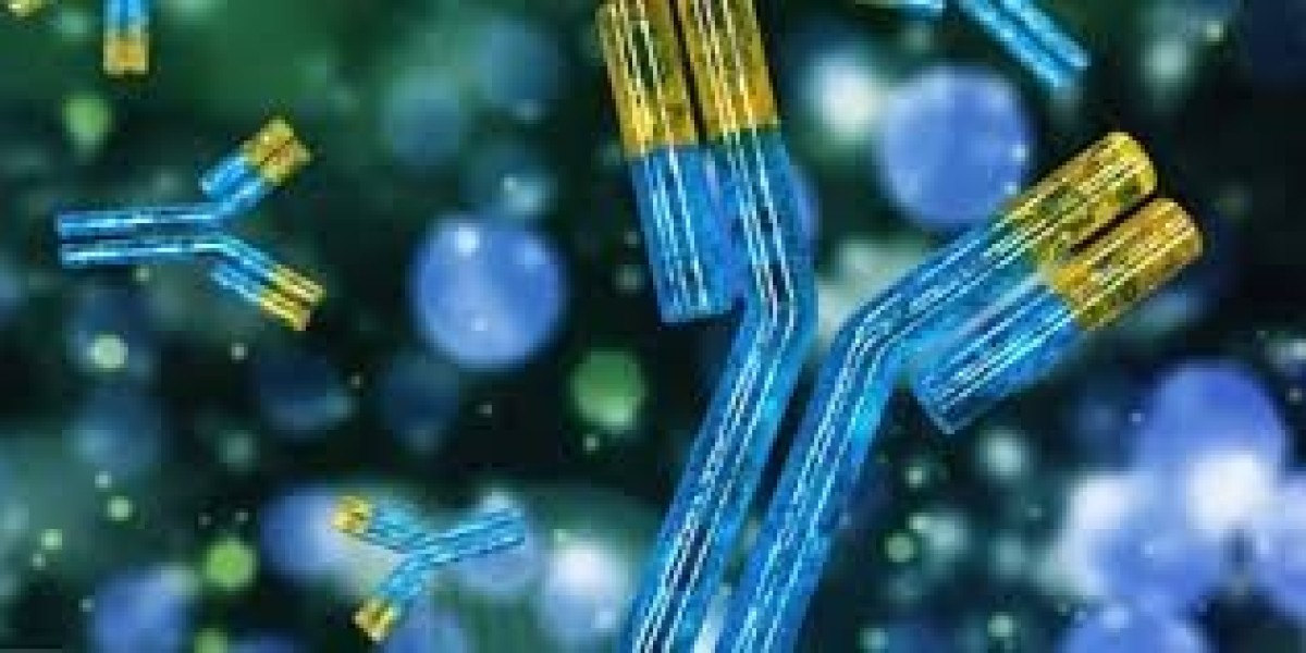Biobetters Market insights exploring investment potential and strategic collaborations across leading regions
