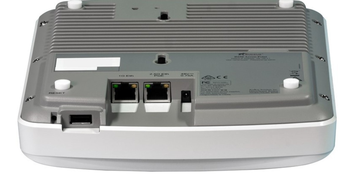Discover Power and Performance with the Ruckus R650 Datasheet