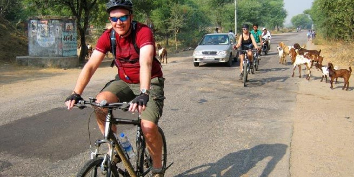 The Great Rajasthan Loop: A Complete Road Trip with Cycling and Camping Fun