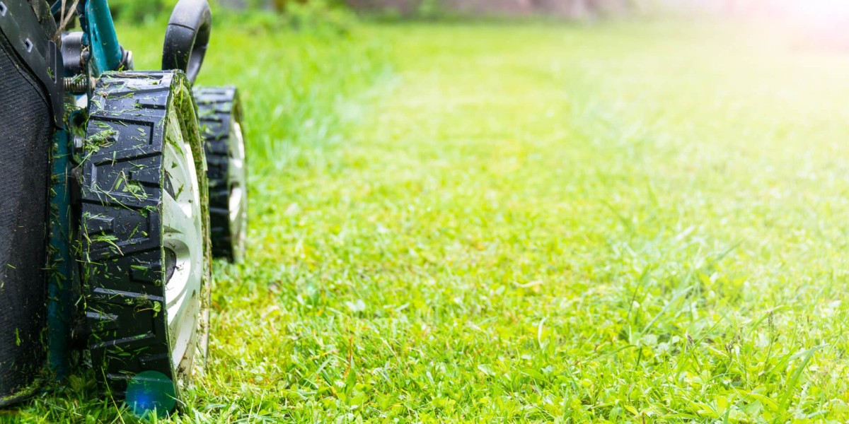 Tree Planting in Shelton, CT – Beautify Your Landscape with Experts