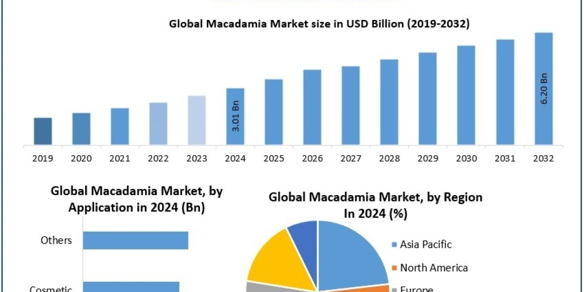Macadamia Market Report 2025-2032 Key Players Segments and Regional Insights