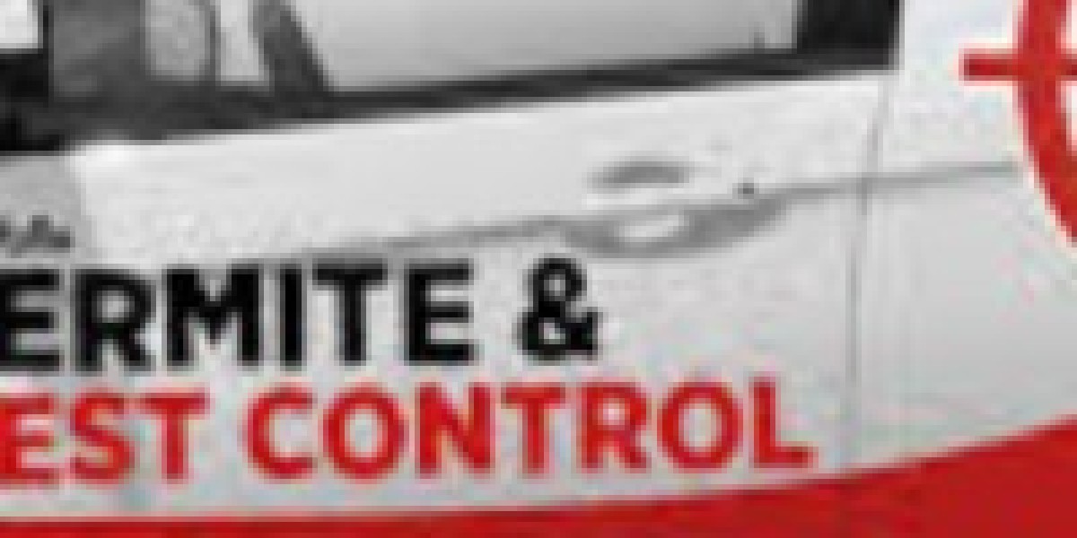 **Bee and Wasp Control Laredo, TX: Keeping Your Home Safe from Stinging Insects**