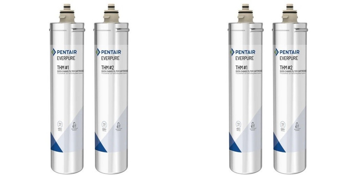 A Comprehensive Look at Everpure Filter Cartridges