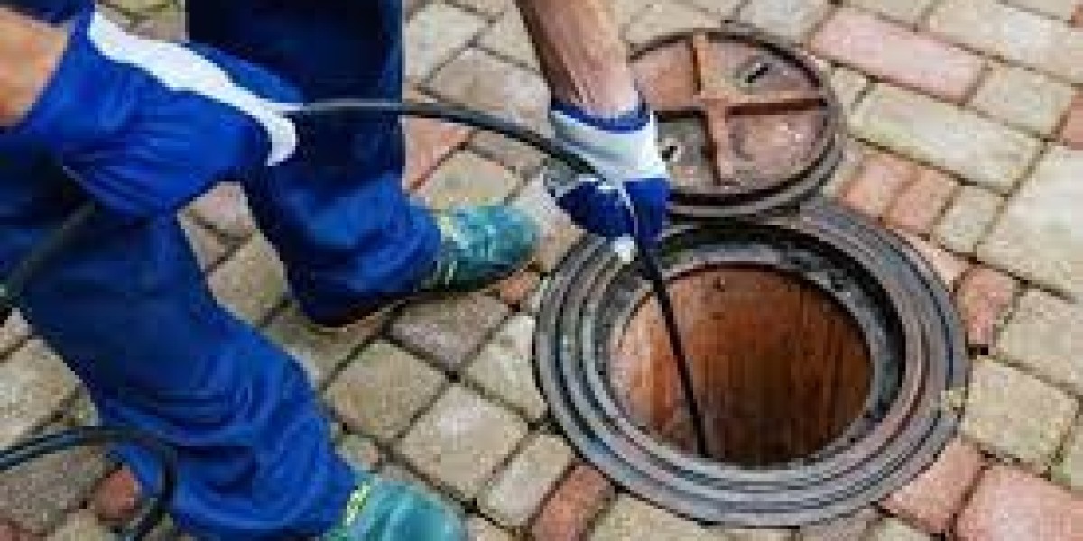 When Should I Schedule a Septic Tank Service in Savannah?