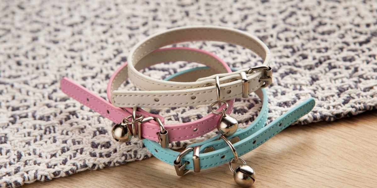 Stylish and Safe Dog Accessories Every Australian Pet Owner Should Have