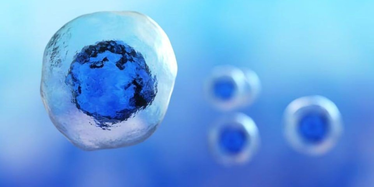 Single Cell Analysis Market Growth Trends & Forecast to 2033