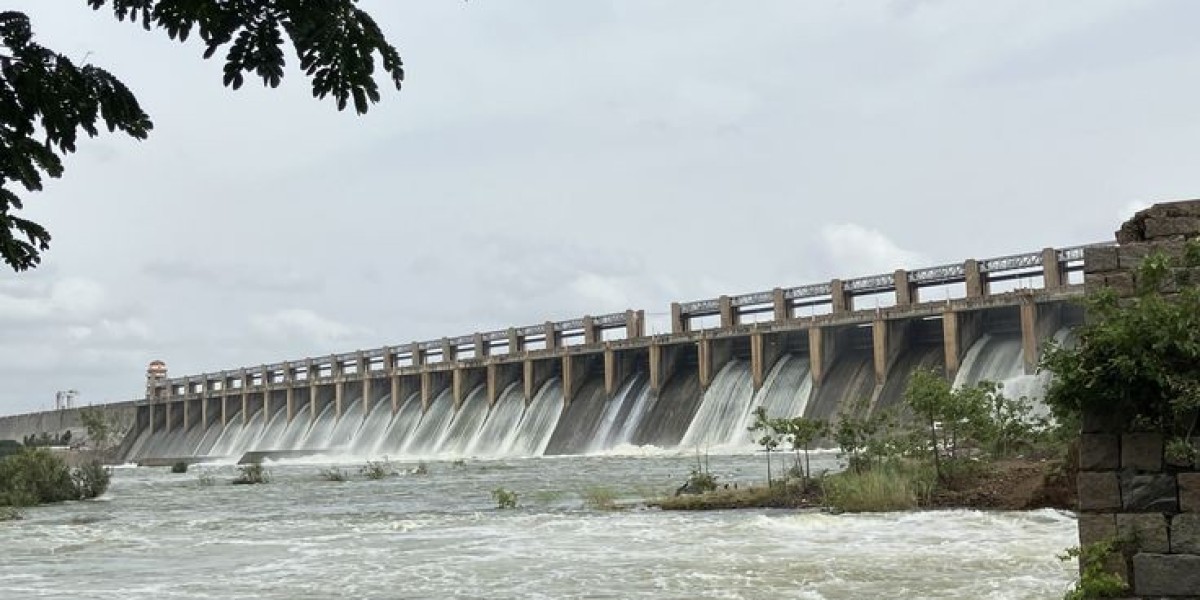 Tidi Dam Trek: An Easy Lakeside Trail for Nature Walks and Photography