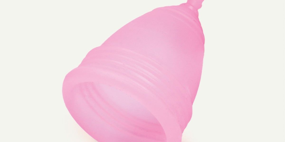 Top 20 Companies in the Menstrual Cup Market: Investment Opportunities and Growth Drivers