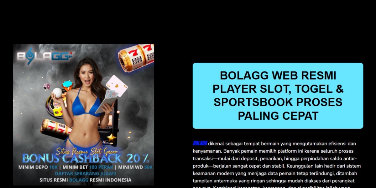 ? What is Bolagg