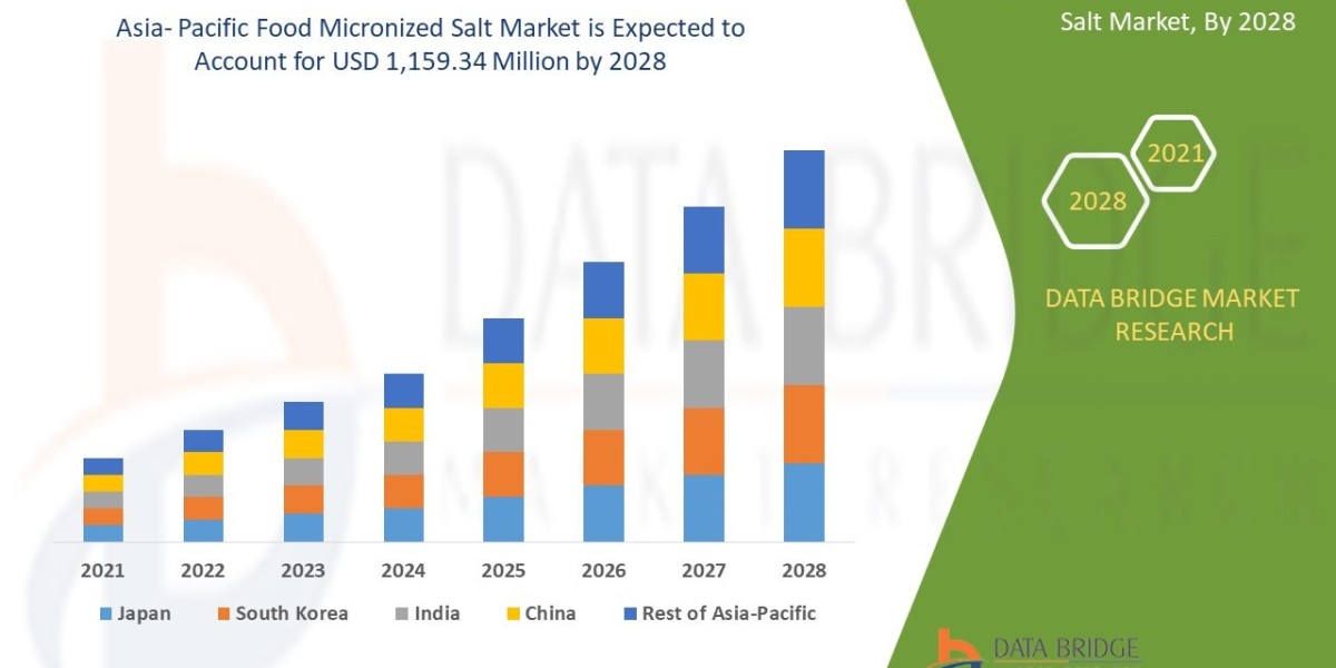Asia- Pacific Food Micronized Salt Market Opportunities and Trends Shaping the Industry