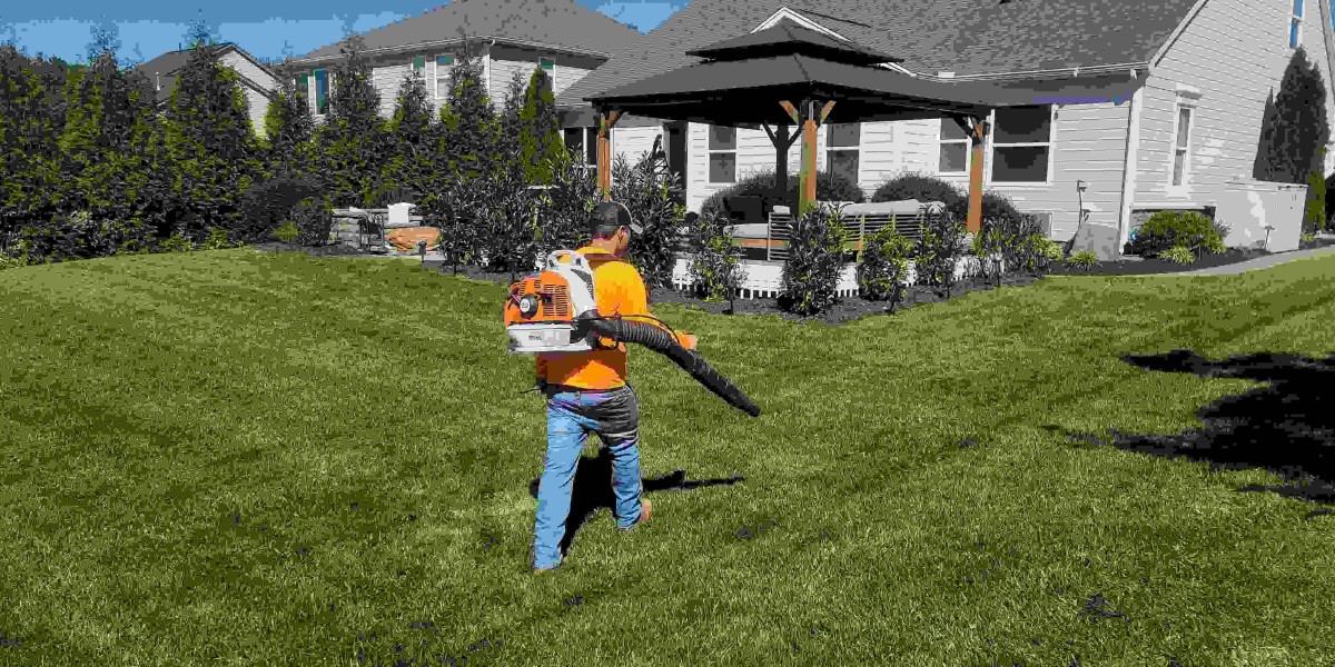 How can professional landscaping services improve your home’s curb appeal?