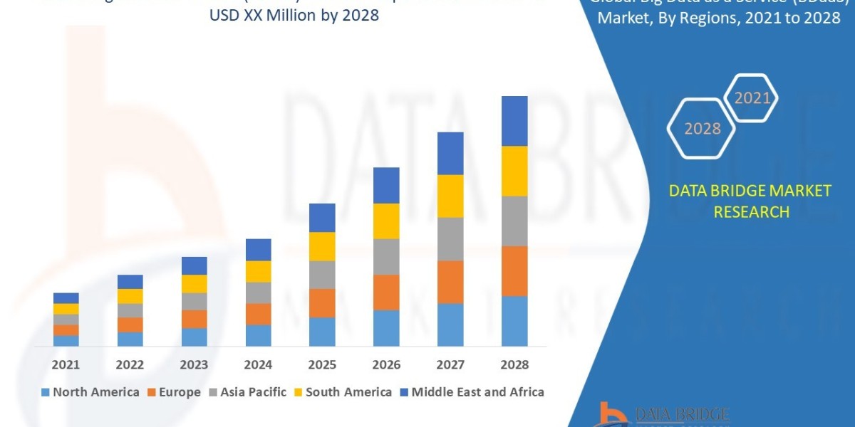 Big Data as a Service (BDaaS) Market Size, Share, Trends, Growth Opportunities and Competitive Outlook