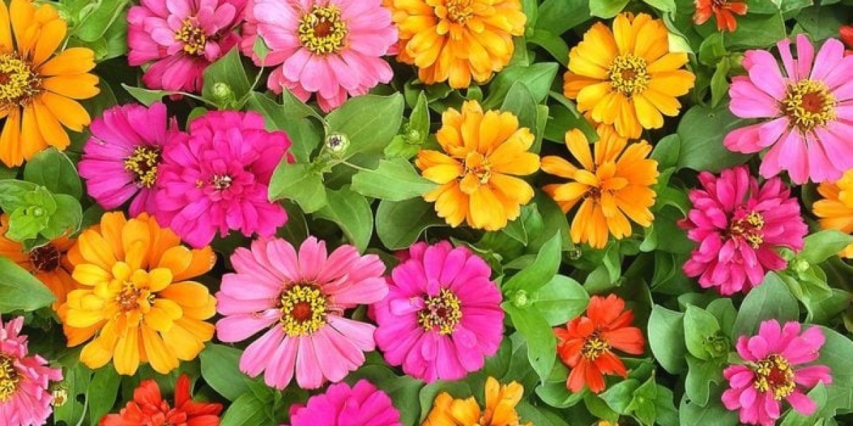 What Flower Symbolism Is Linked to Protection and Strength?