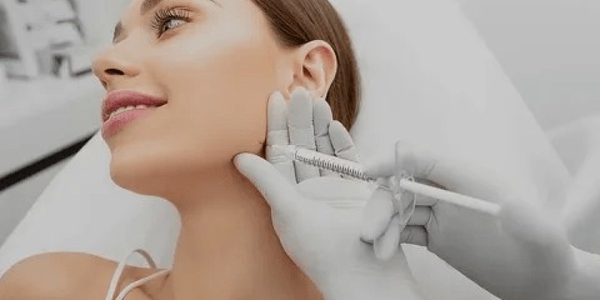 Elevess Injectable Fillers Market Industry Overview