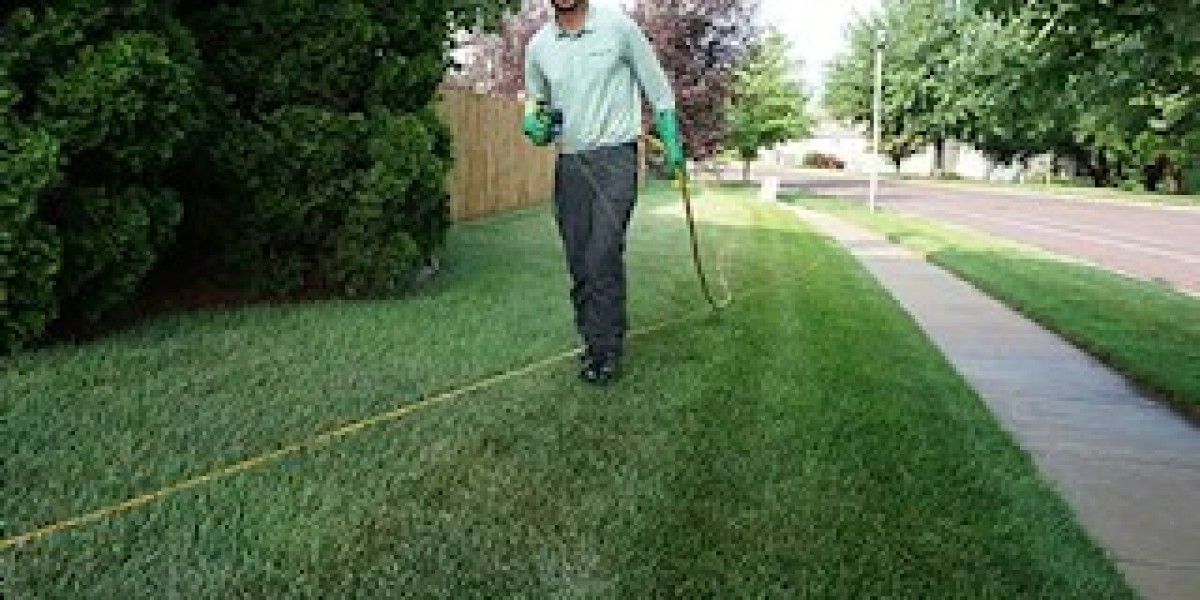Know Why Professional Lawn Maintenance is Better than DIY Lawn Care