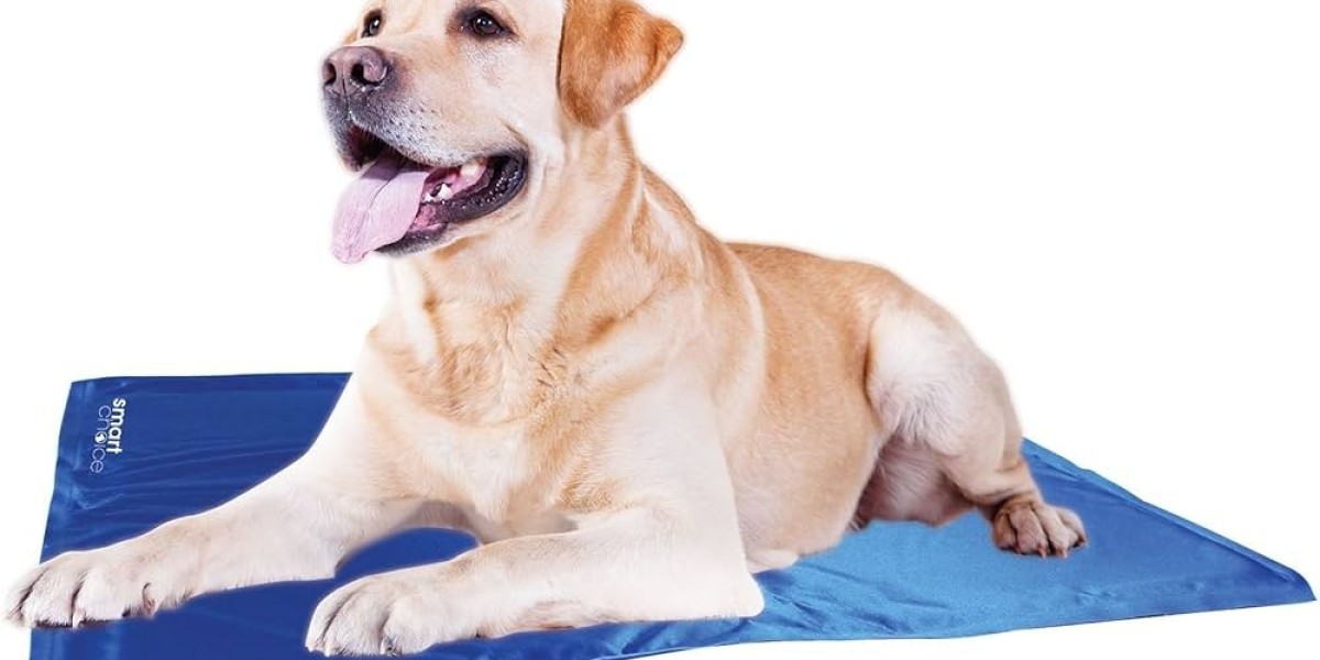 ?? Dog Mats by MattGuards: The Perfect Comfort & Protection for Your Furry Friend