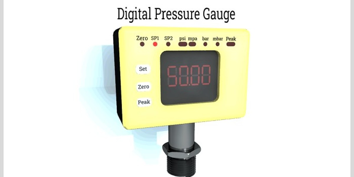How Does Overpressure Protection Work in a Digital Pressure Gauge?