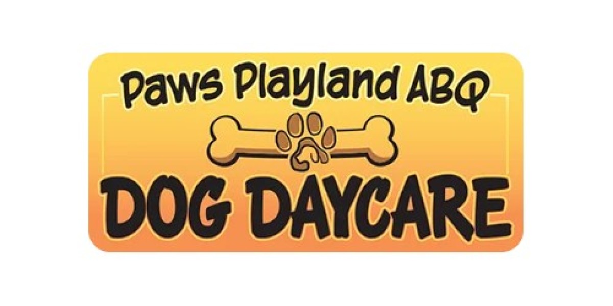 Fun Dog Daycare Activities NE Albuquerque for High-Energy and Calm Dogs