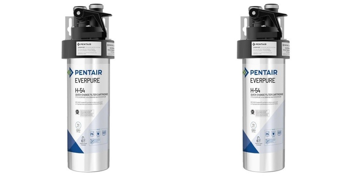 Everpure H54 Overview