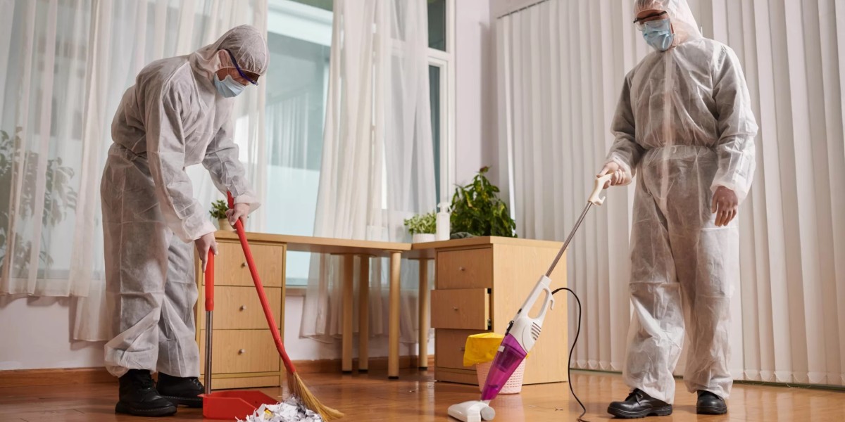 Finding Professional Hoarding Clean Up Companies Near Me: A Complete Guide
