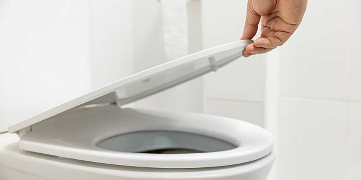 Melbourne’s Messy Problem? How to Tackle Blocked Toilets the Smart Way!