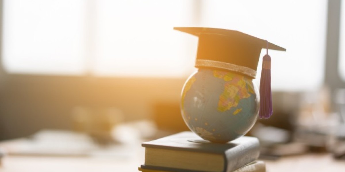 Higher education in the Netherlands | A guide to Dutch universities