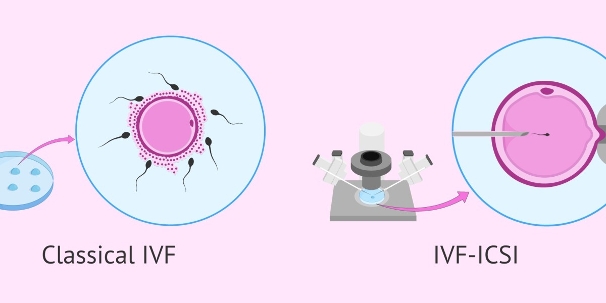 Key Factors That Influence IVF Success Rates