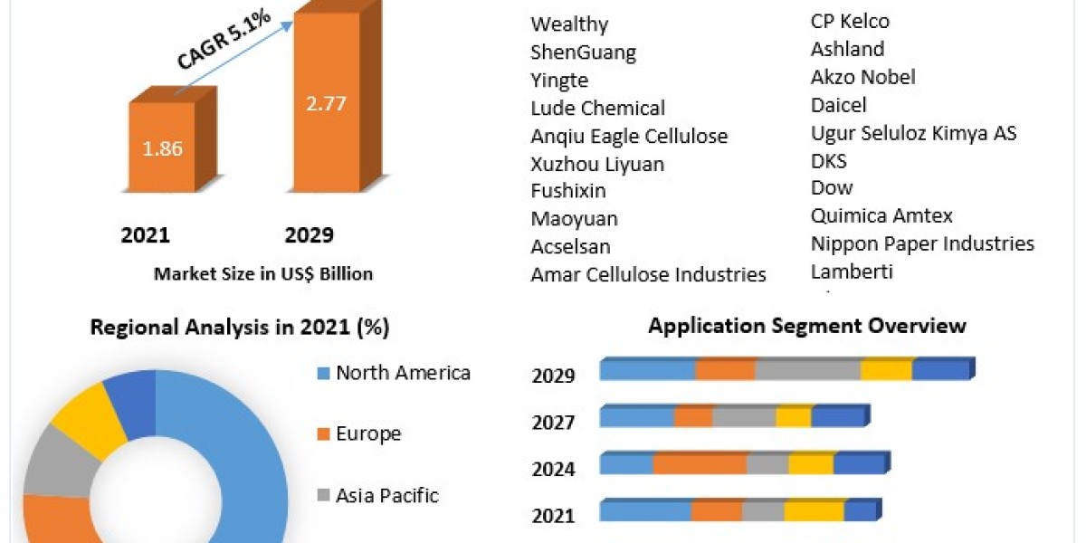 Carboxymethyl Cellulose Market Drivers, Innovations, and Growth Pathways (2022-2029)