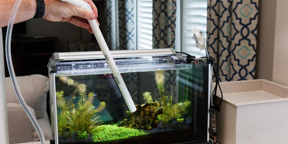 Aquarium Water Treatment Market highlights technology adoption
