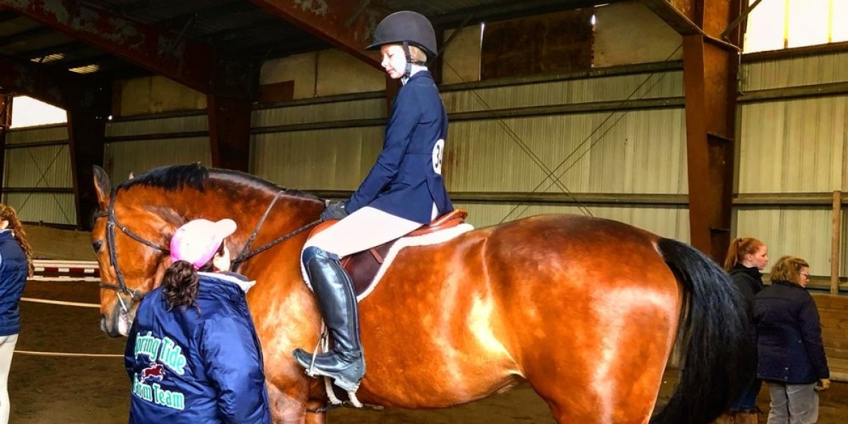 Best Horseback Riding Classes in Bedford for Beginners and Enthusiasts