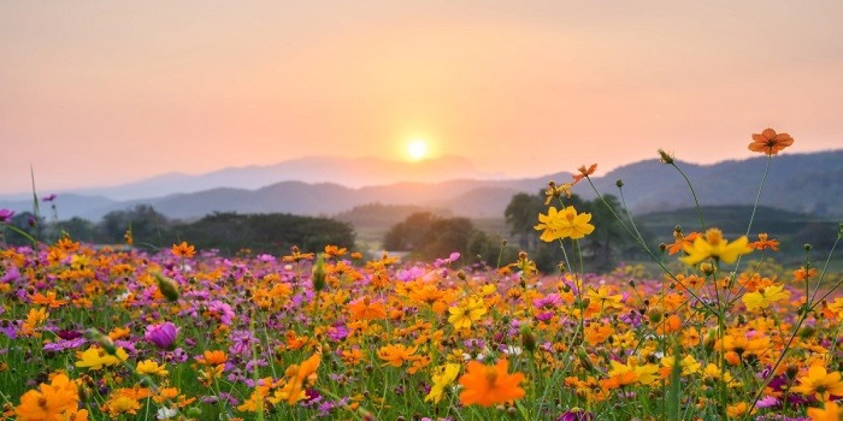 80 Spring Jokes That Bring Cheerful Humor to Welcome the New Blooming Season