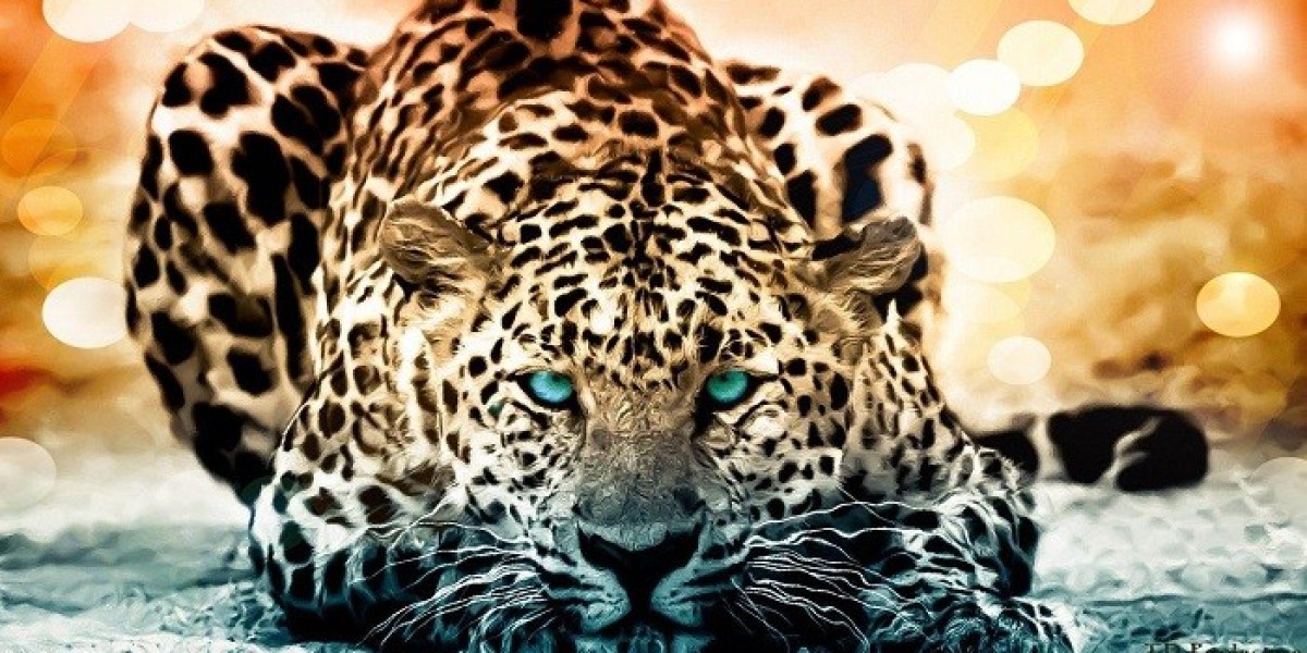 How Can Jaguar Symbolism Encourage Bold Transformation?