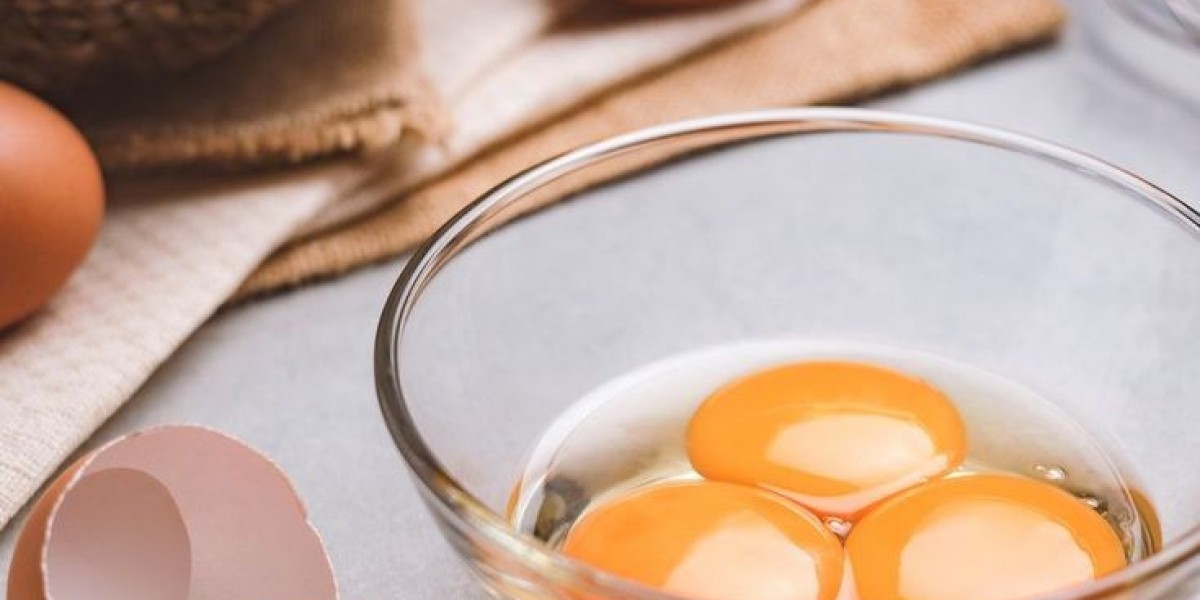 Egg Replacers Market Size, Trends, and Growth Analysis