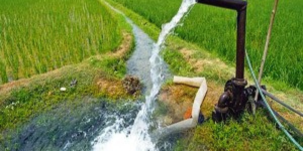 Agriculture Pumps Market Size Analysis, Growth Trends & Forecast to 2033