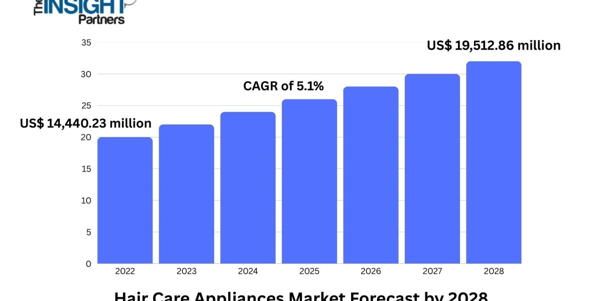 Hair Care Appliances Market Boosted by E-Commerce Expansion and Premium Product Demand