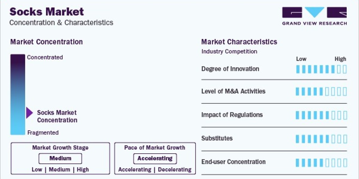Socks Market Segmentation: A Deep Dive into Materials and Applications